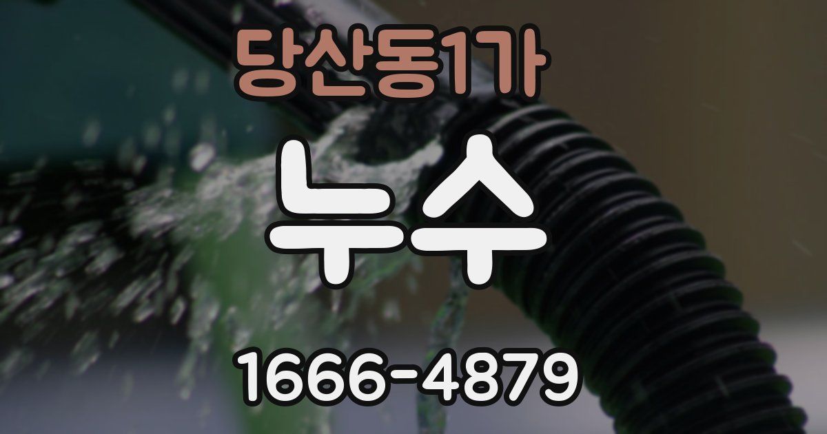 당산동1가 누수