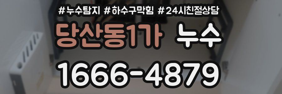 당산동1가 누수