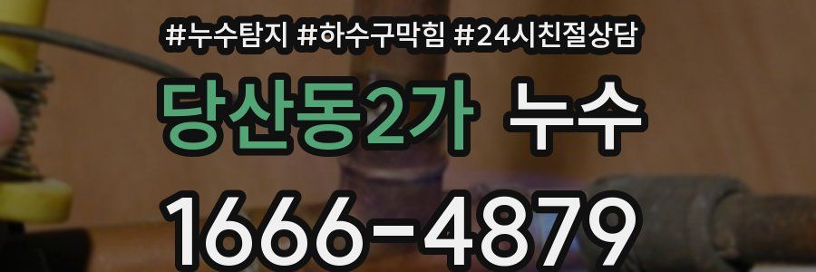 당산동2가 누수