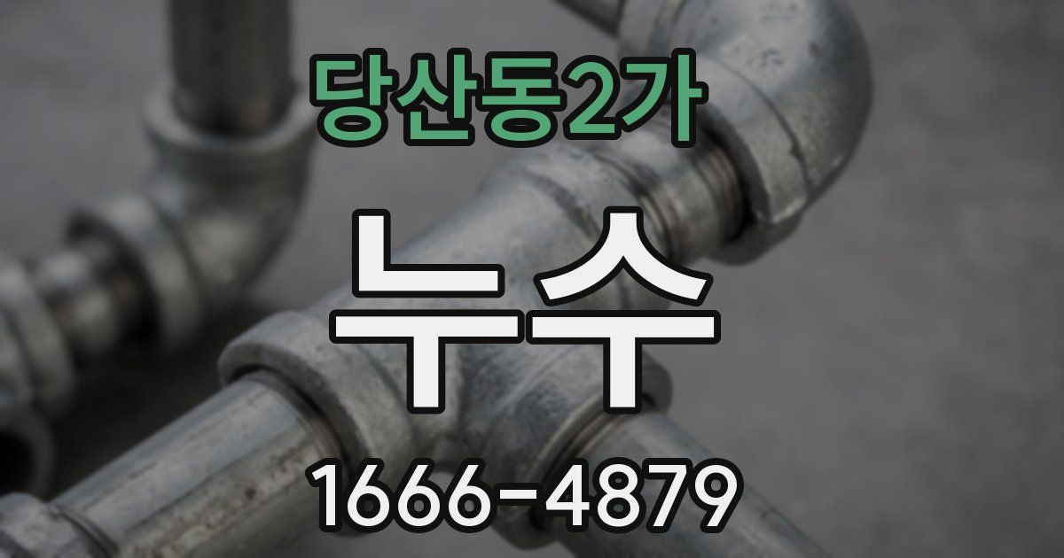 당산동2가 누수