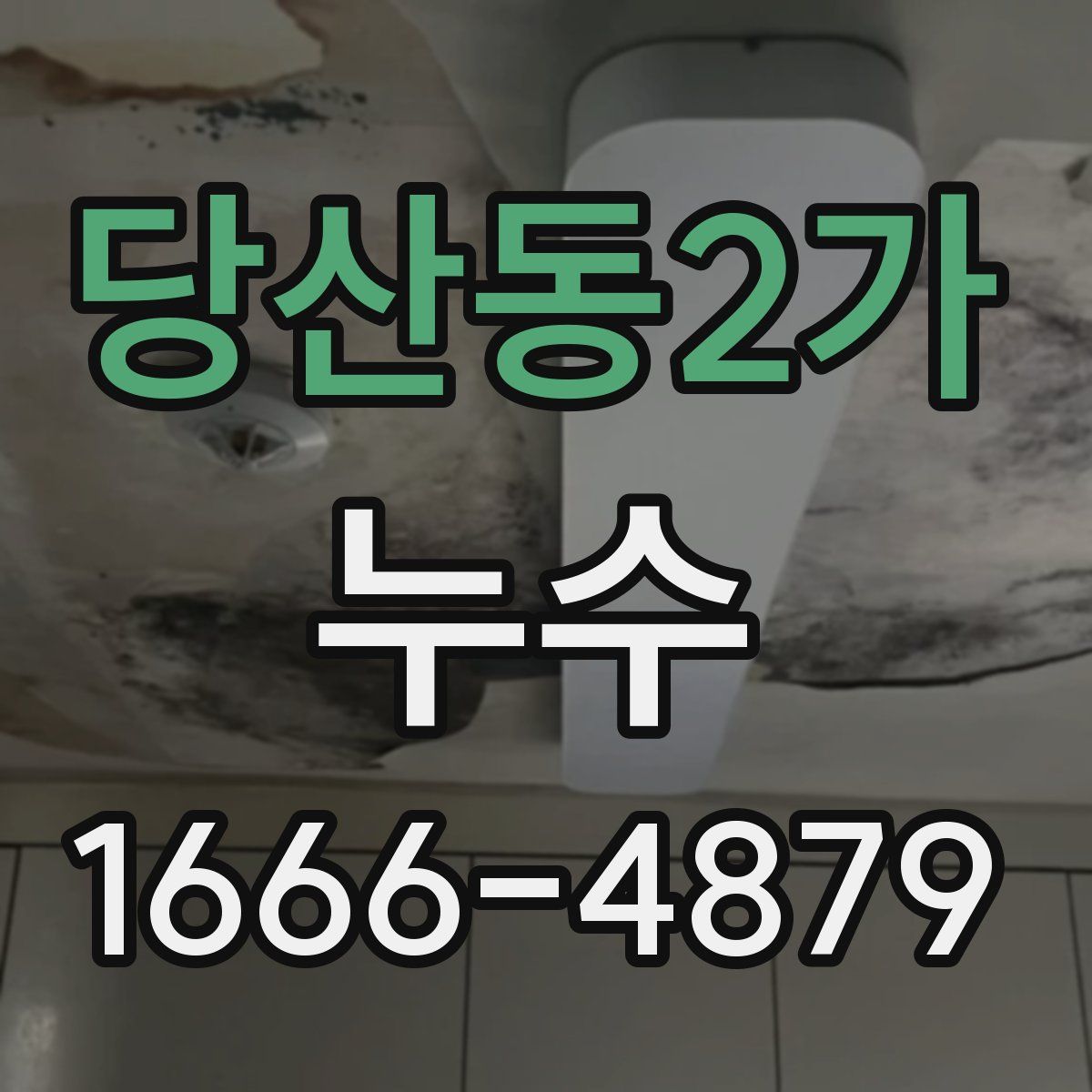 당산동2가 누수