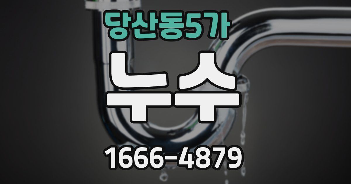 당산동5가 누수