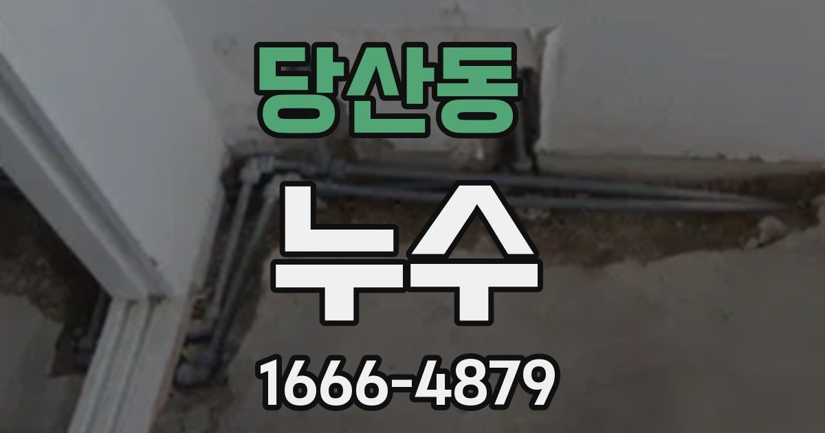 당산동 누수