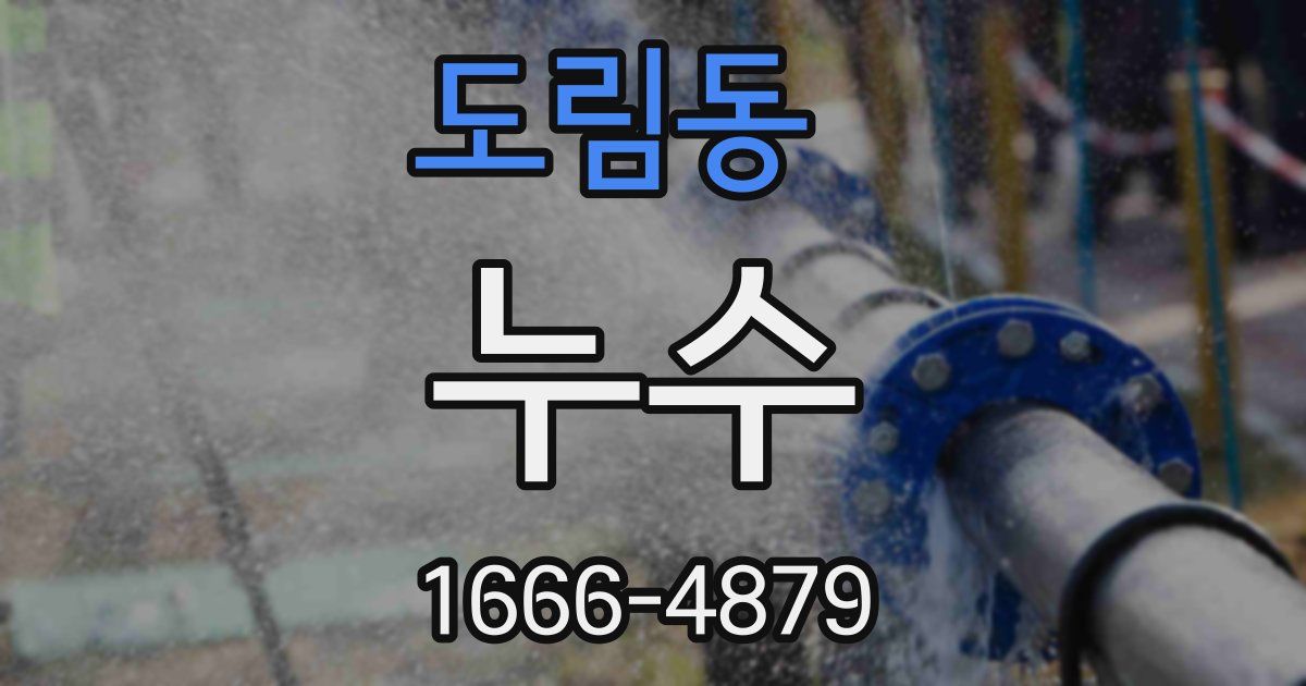 도림동 누수