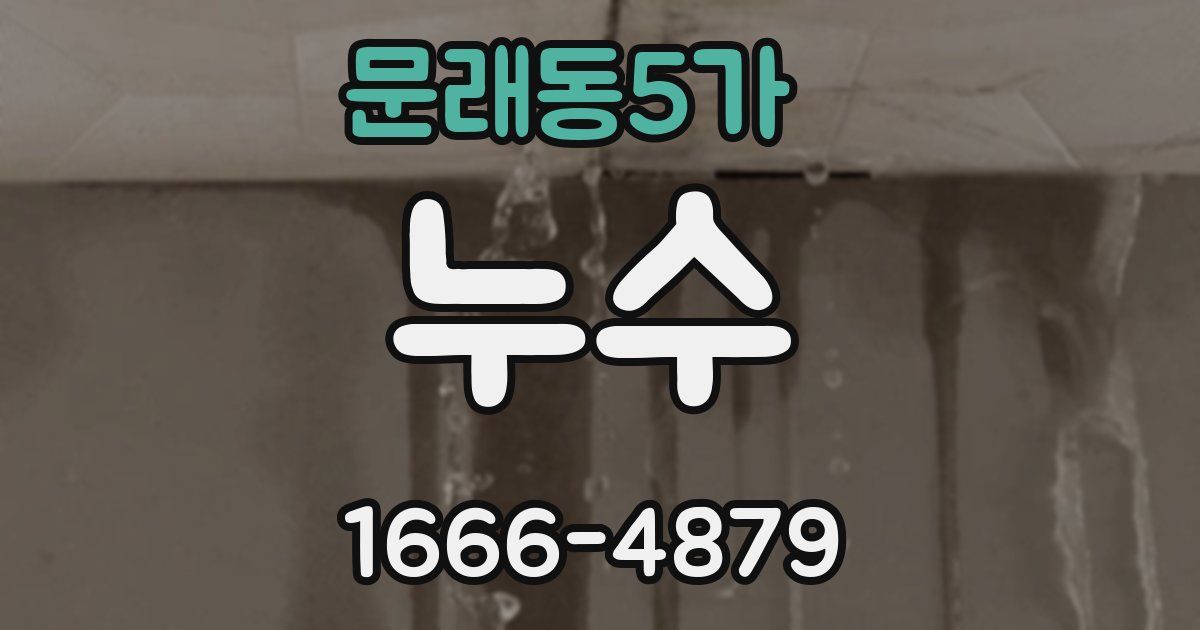 문래동5가 누수