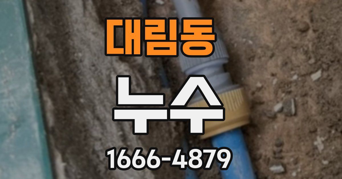 대림동 누수