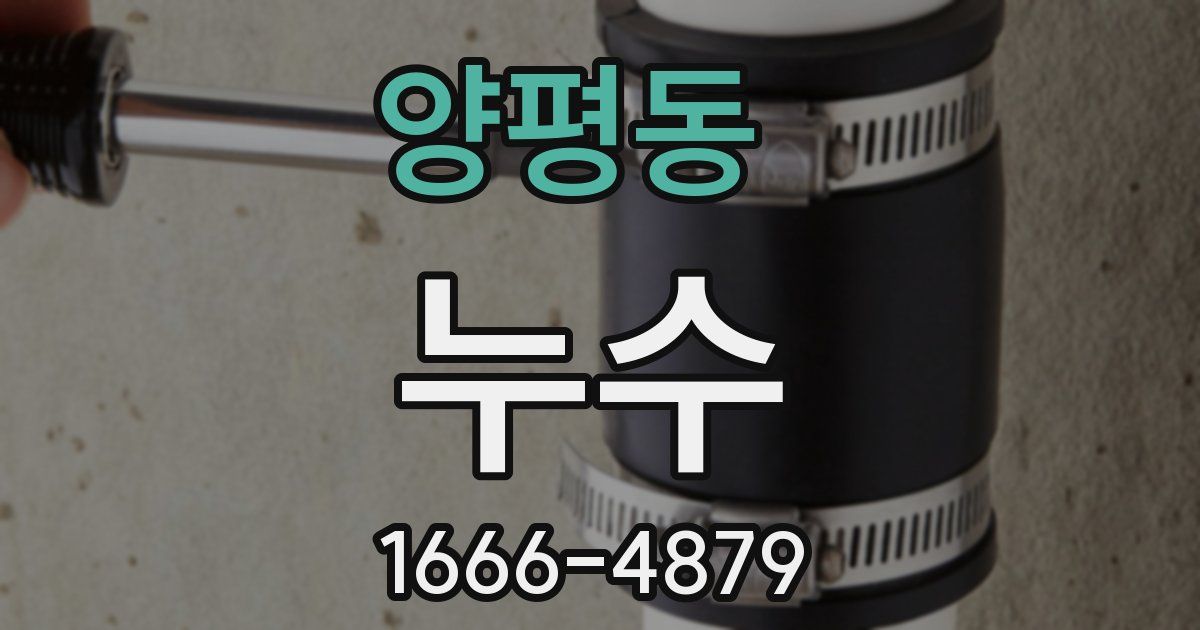 양평동 누수