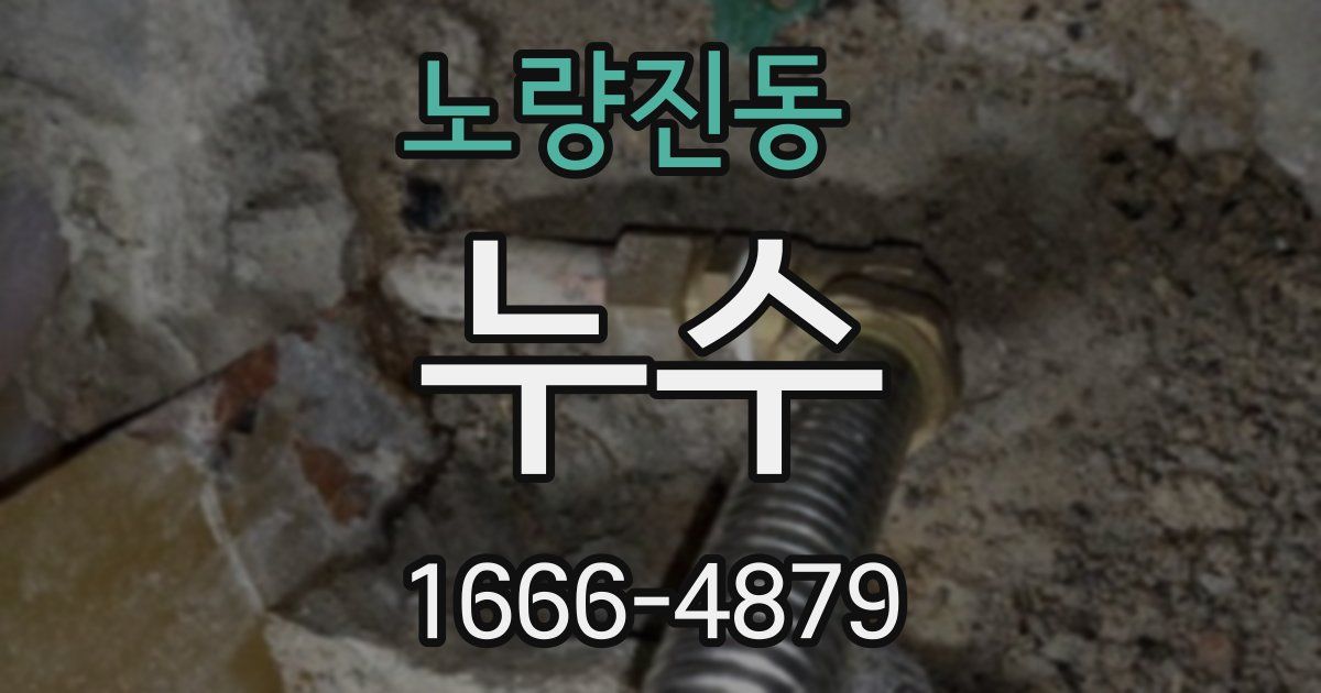 노량진동 누수