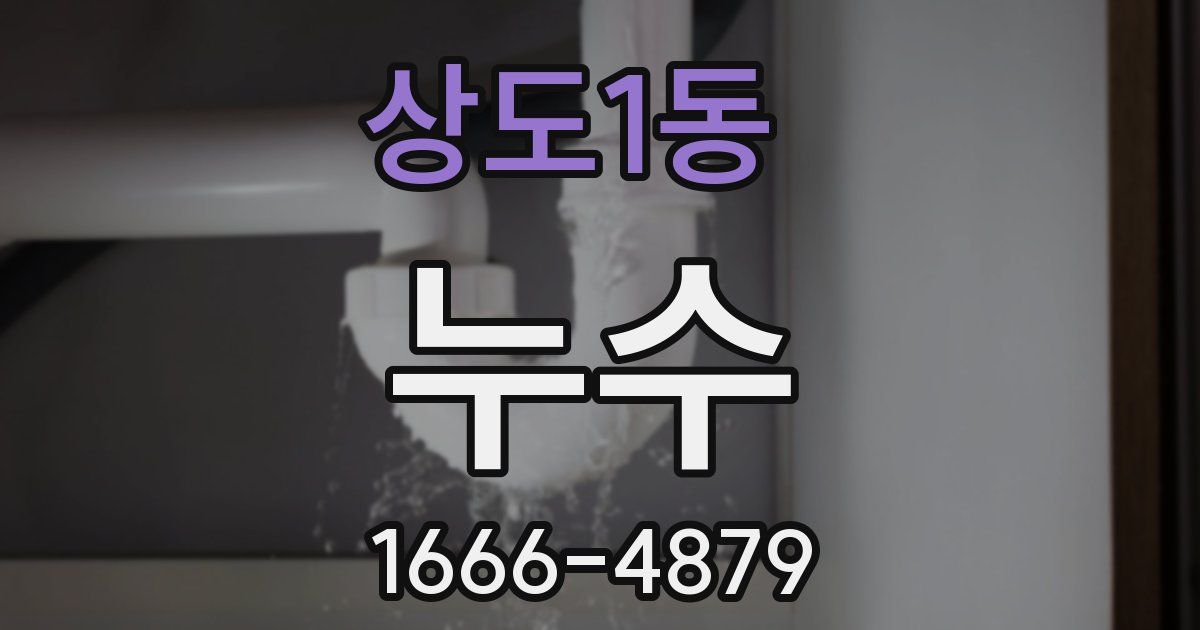 상도1동 누수