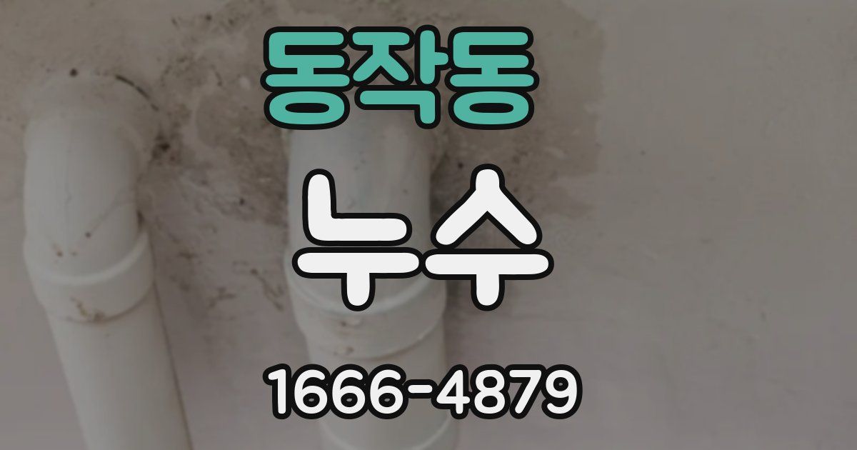 동작동 누수