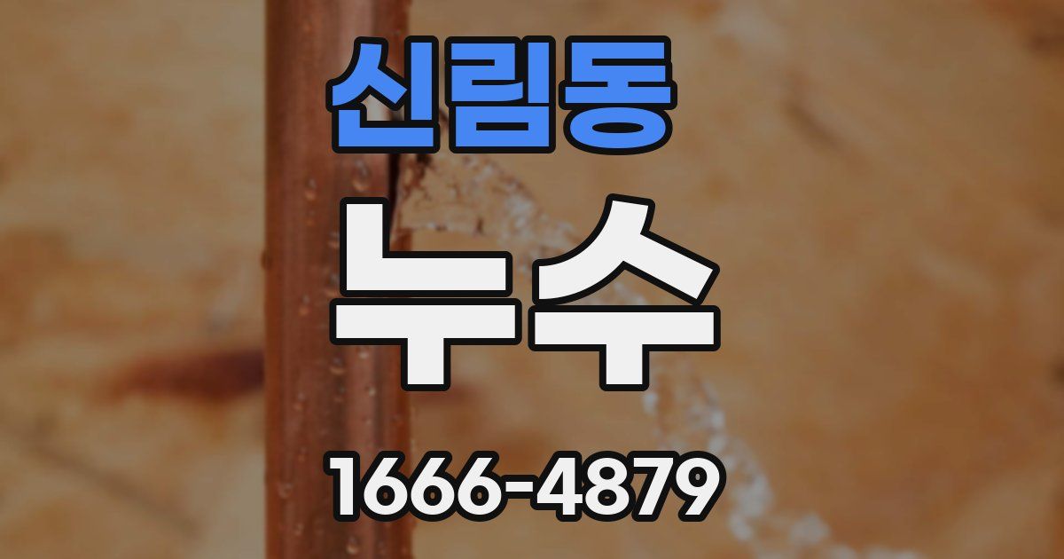 신림동 누수