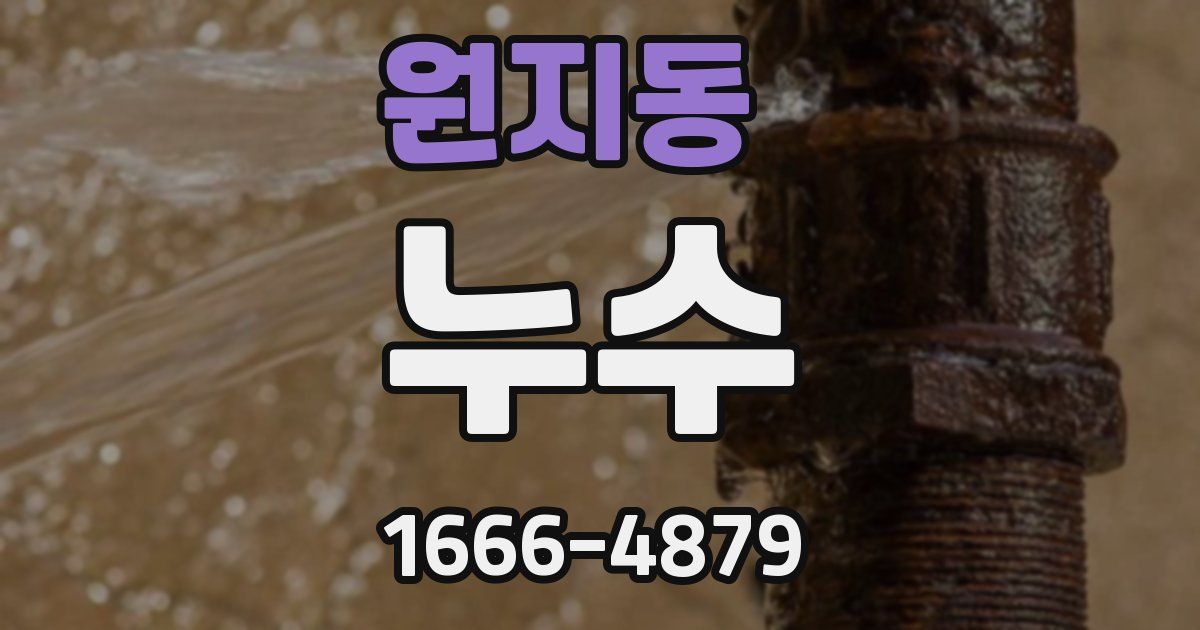 원지동 누수