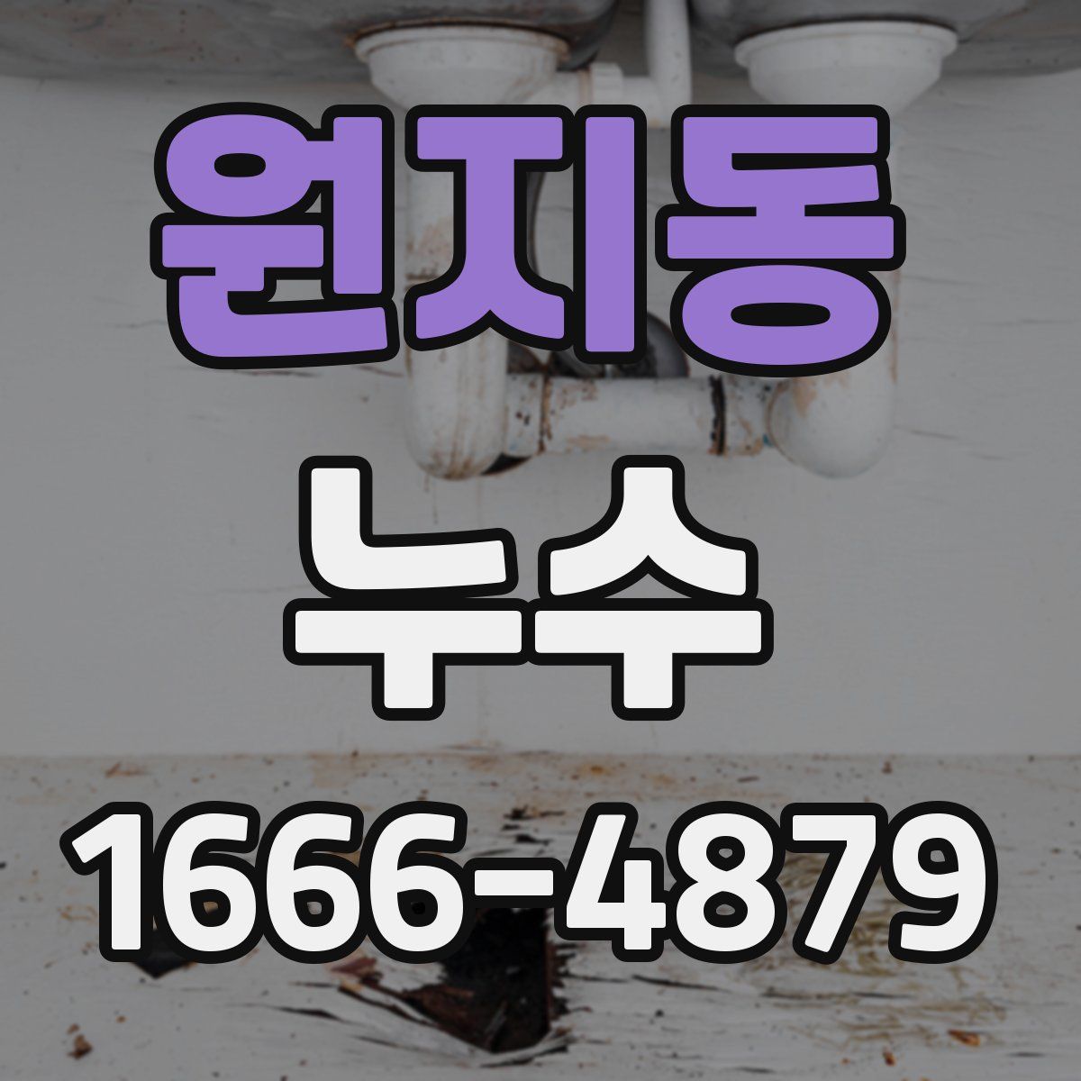 원지동 누수