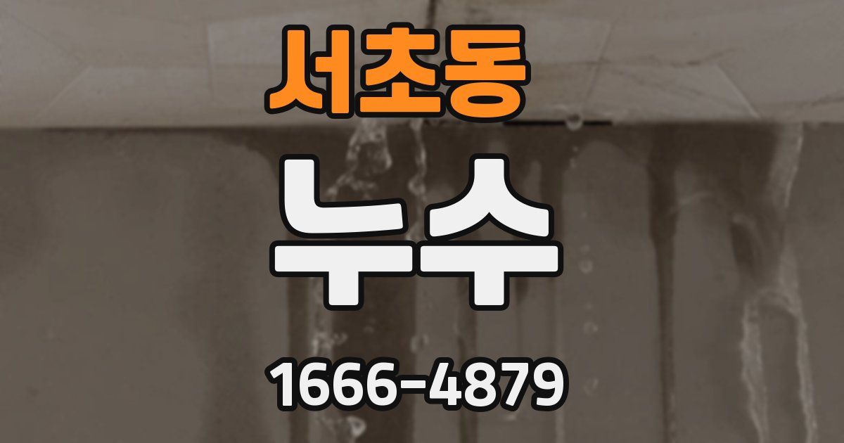 서초동 누수