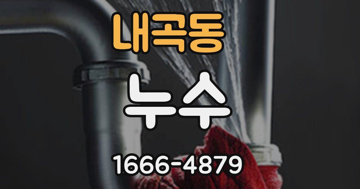 내곡동 누수