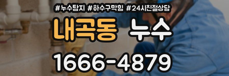 내곡동 누수
