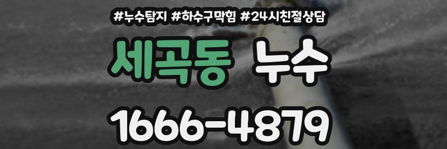 세곡동 누수
