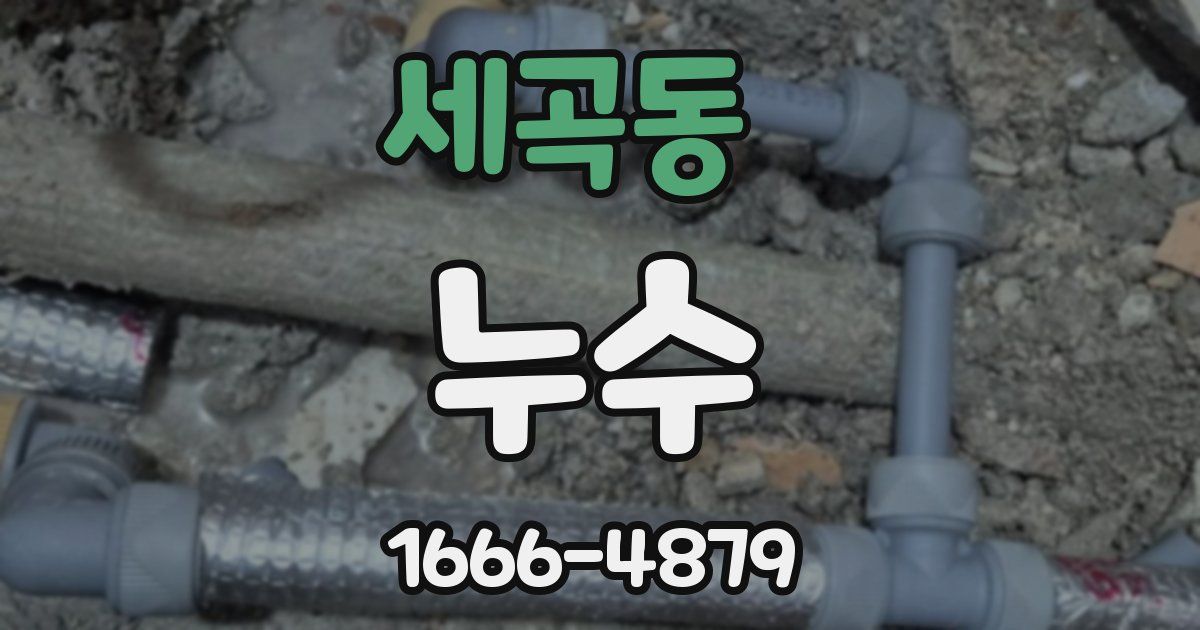 세곡동 누수