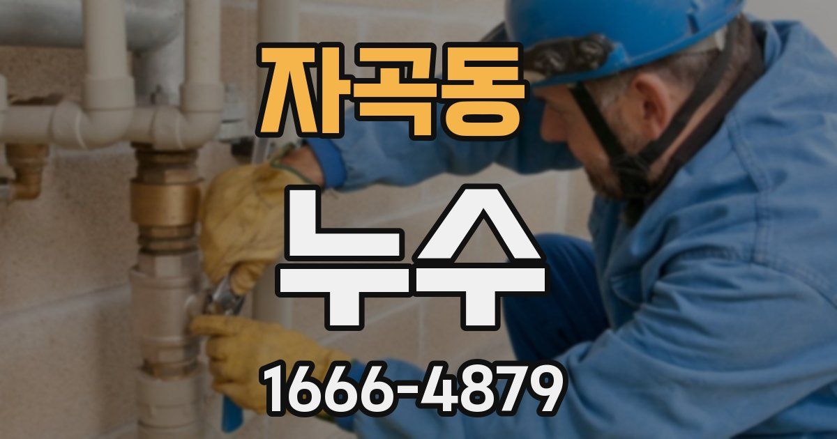 자곡동 누수