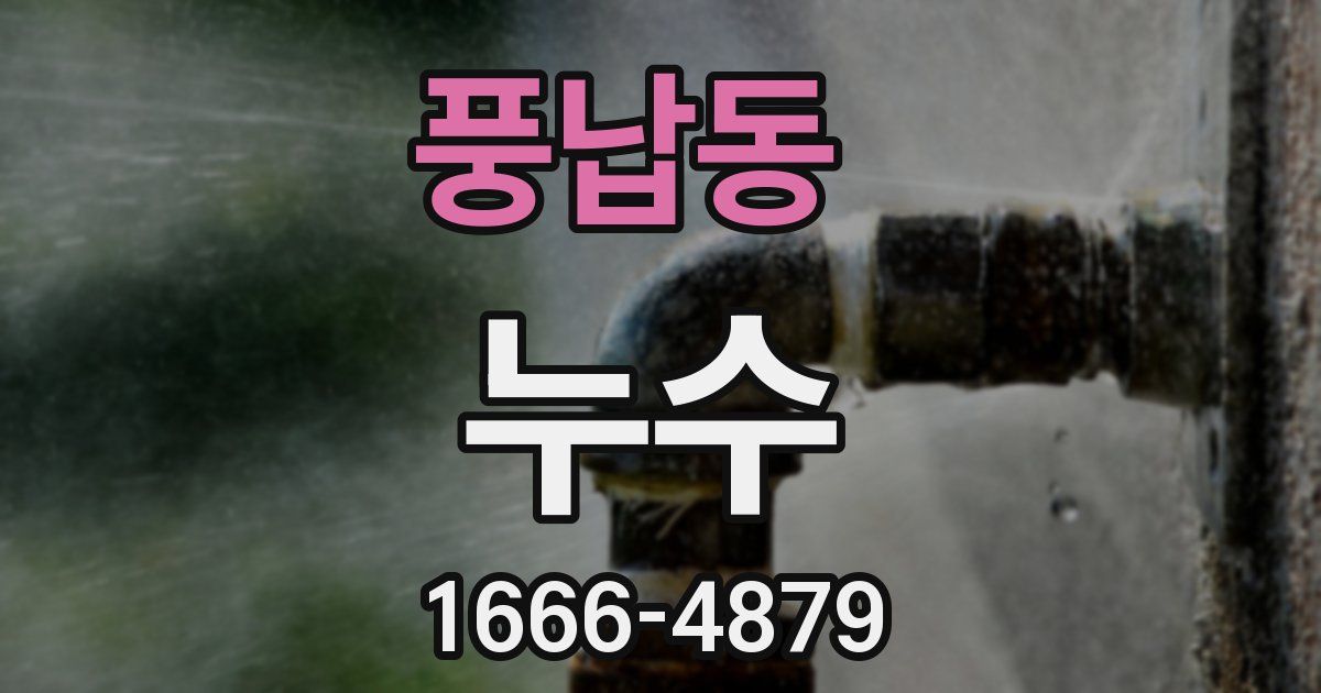 풍납동 누수