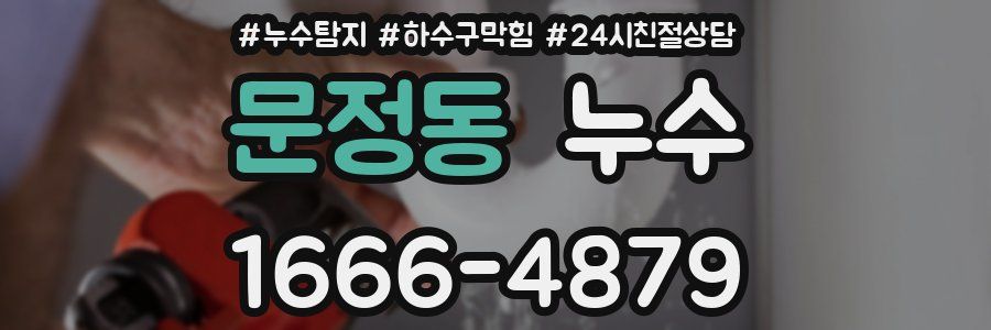 문정동 누수