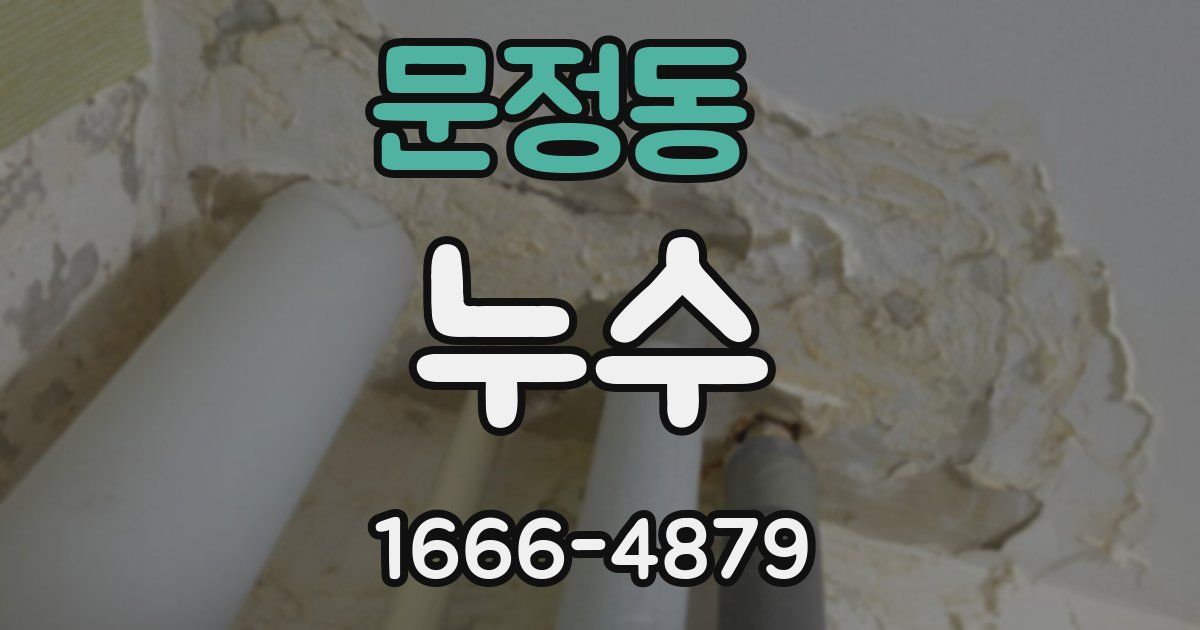문정동 누수