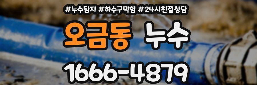 오금동 누수