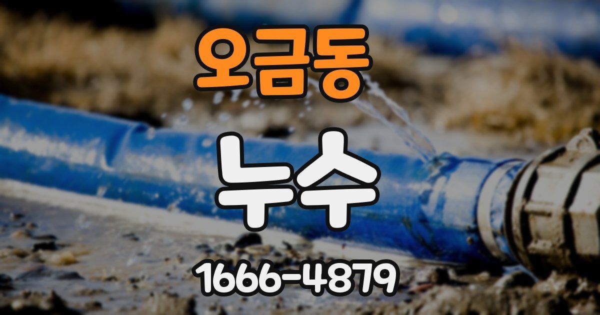 오금동 누수