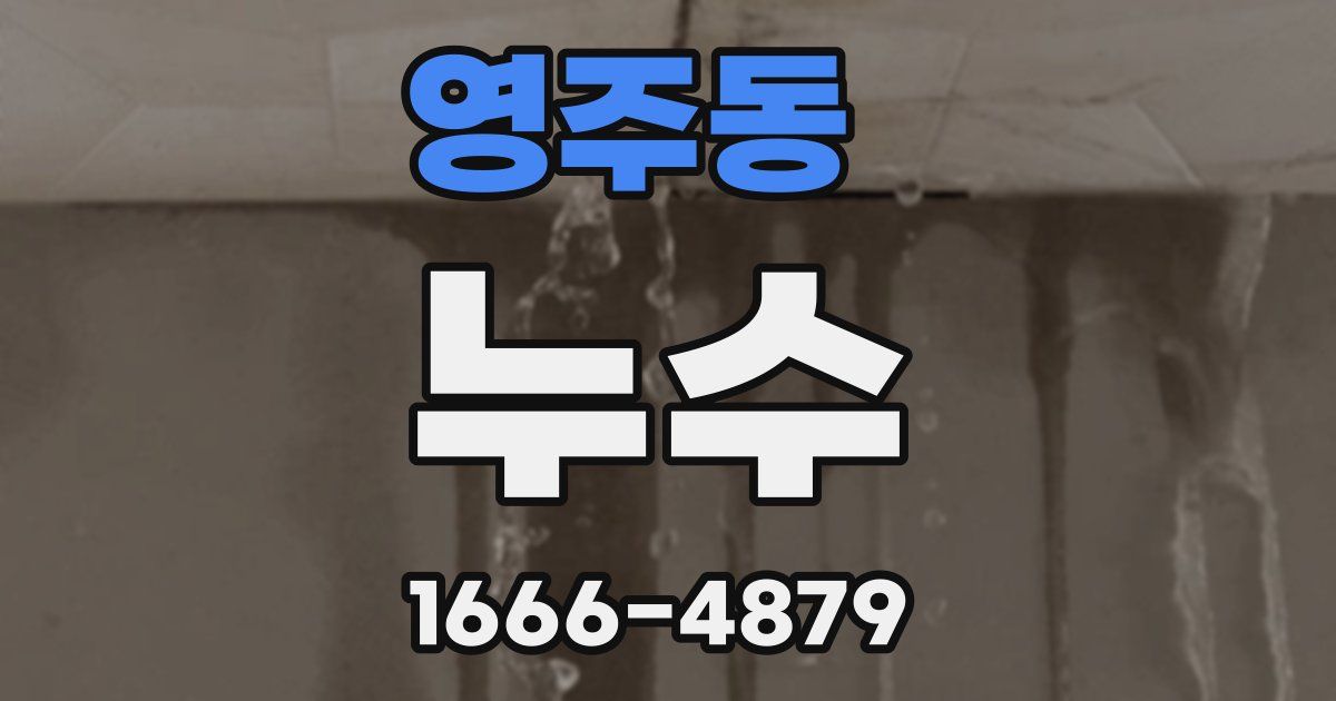 영주동 누수