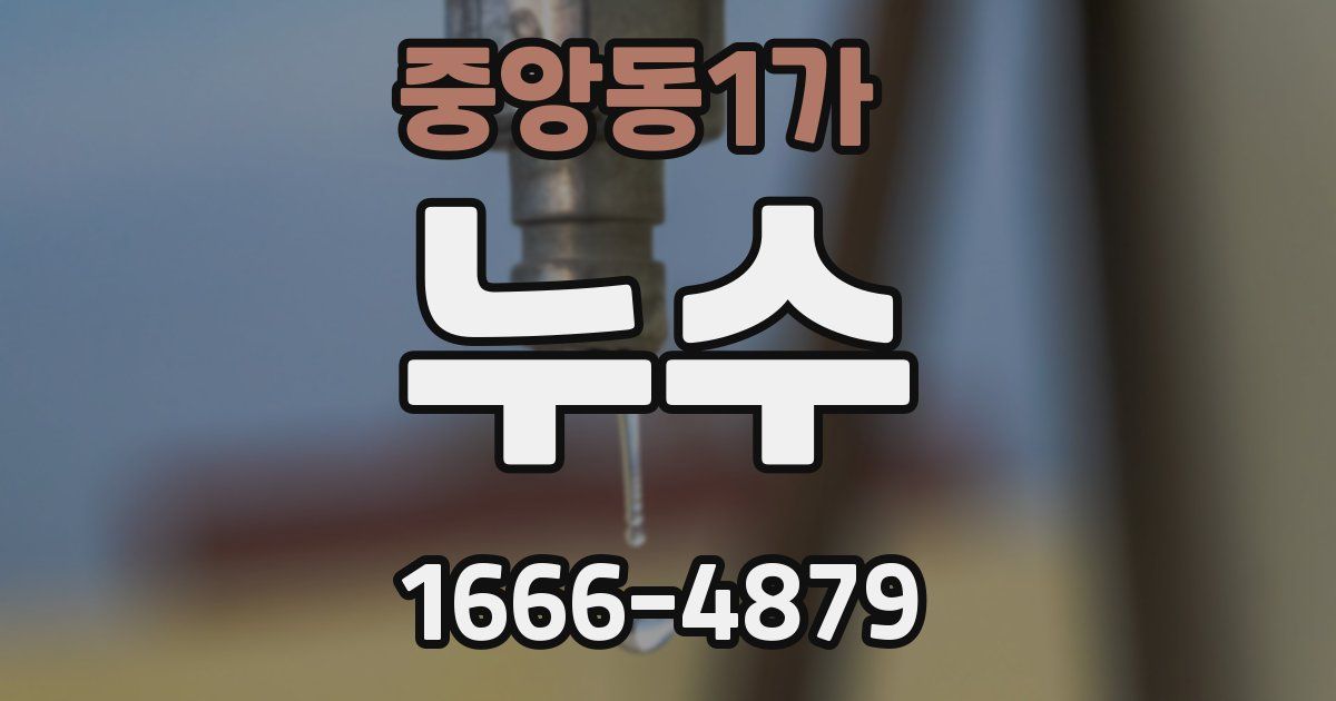 중앙동1가 누수