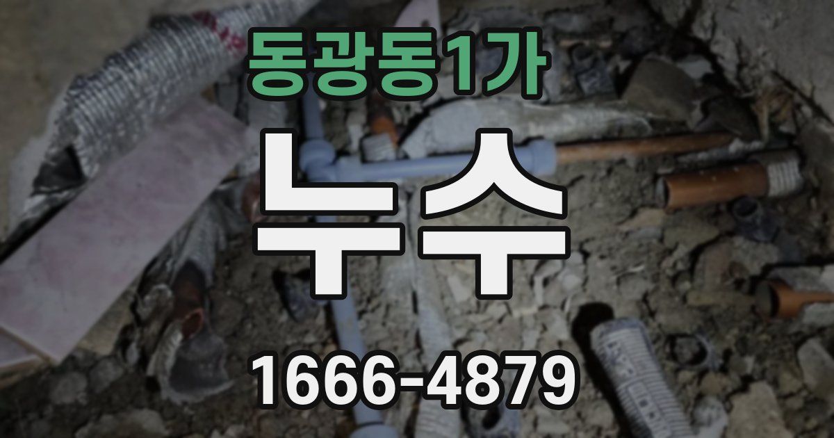동광동1가 누수