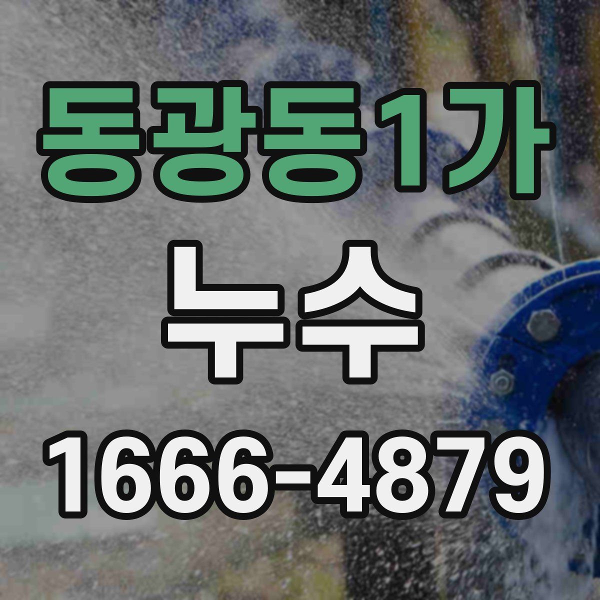 동광동1가 누수