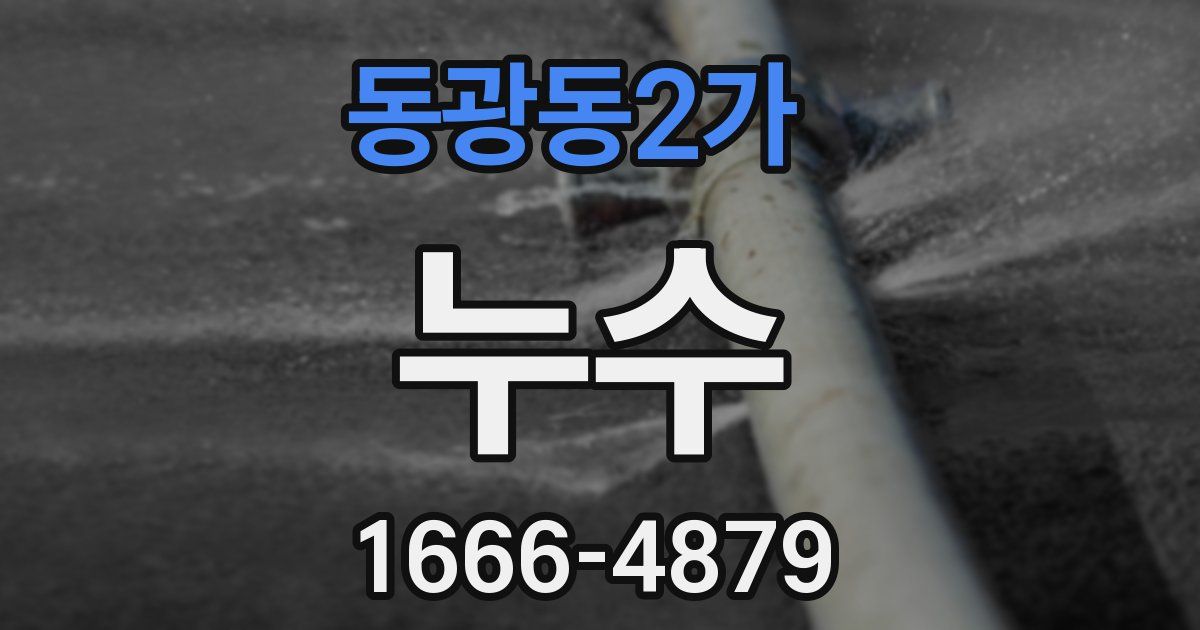 동광동2가 누수