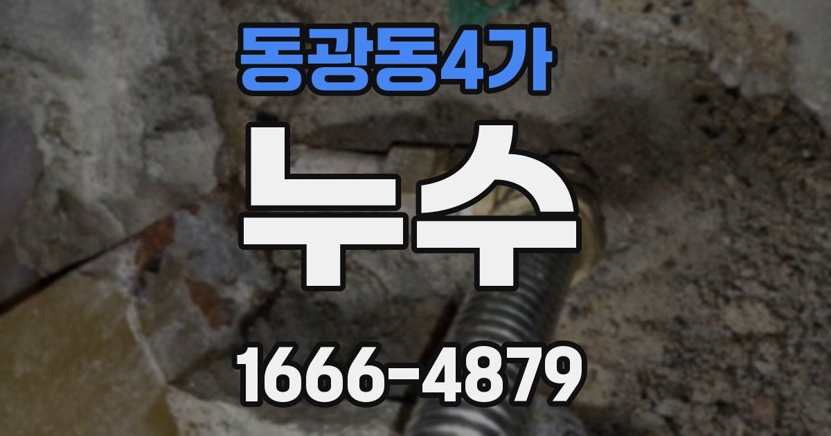 동광동4가 누수