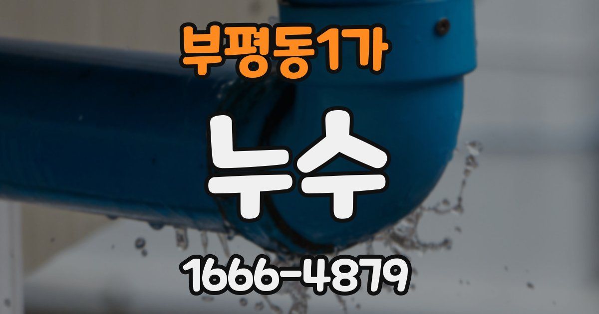 부평동1가 누수