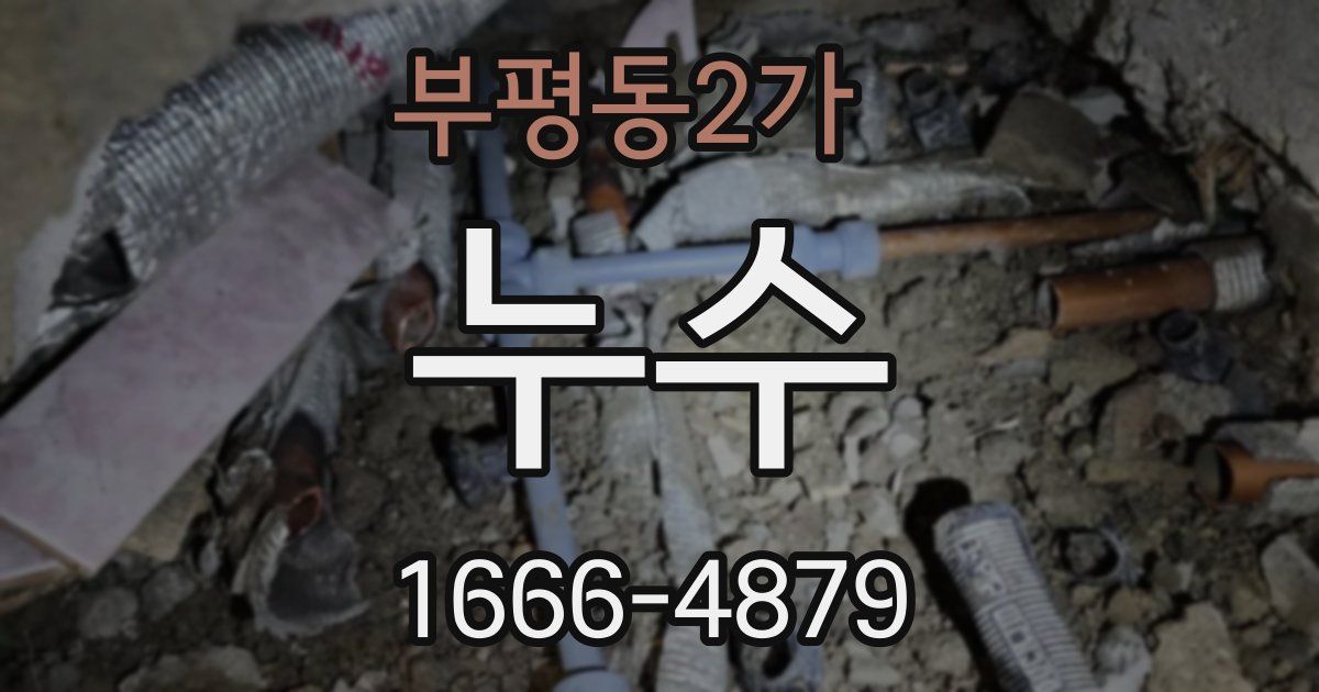 부평동2가 누수