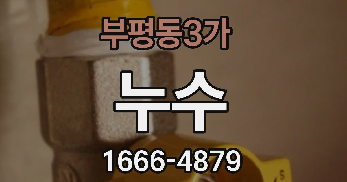 부평동3가 누수