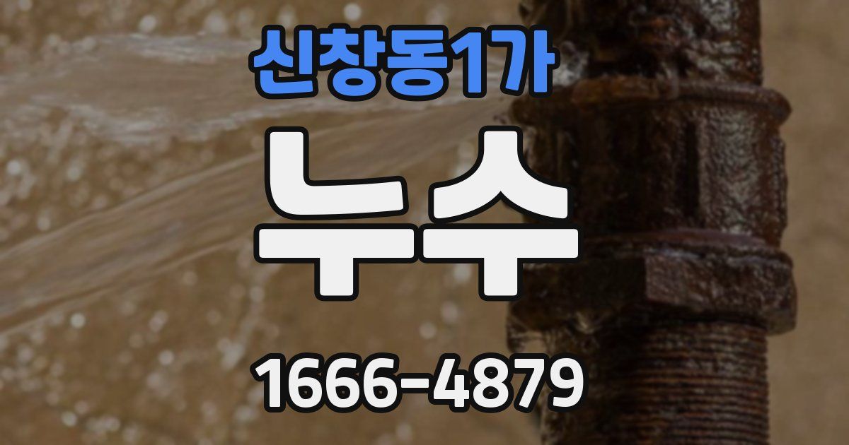 신창동1가 누수
