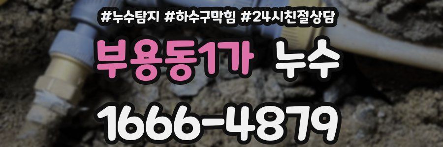 부용동1가 누수