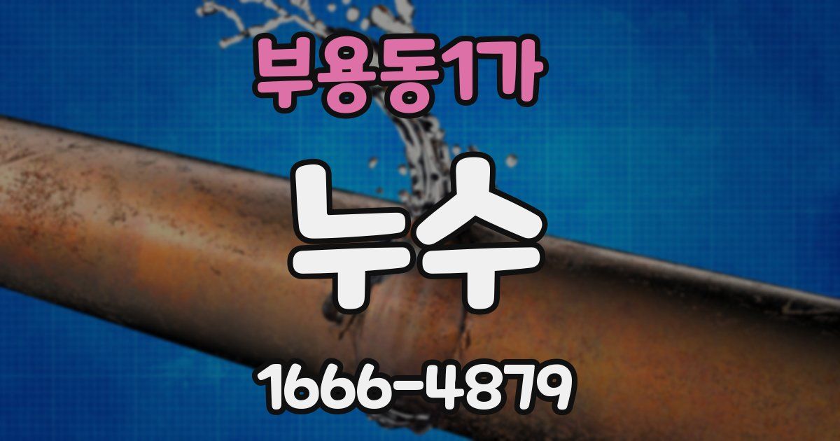 부용동1가 누수