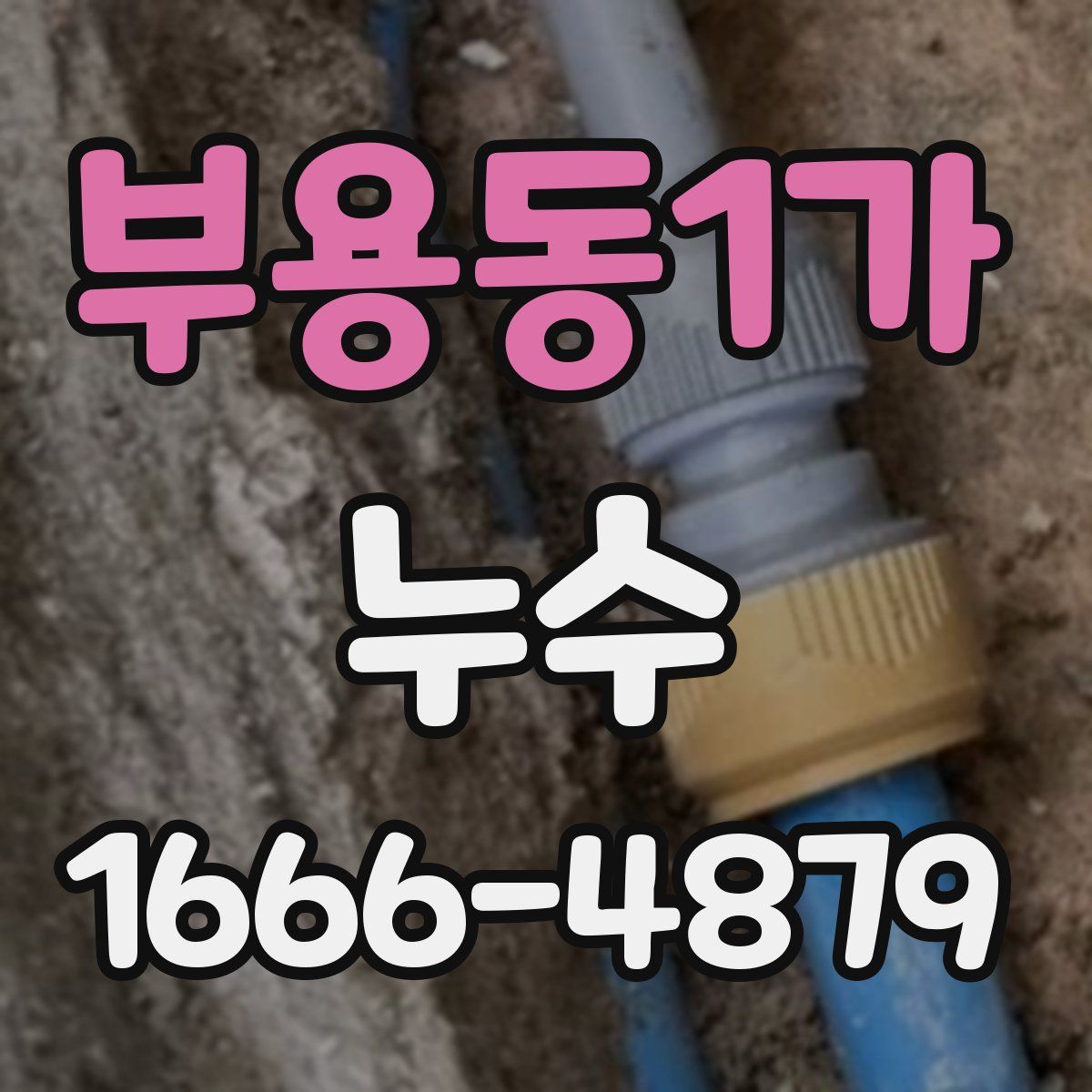 부용동1가 누수