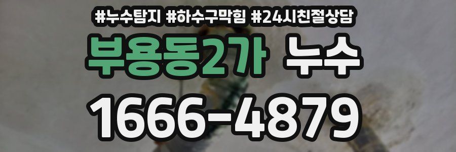 부용동2가 누수