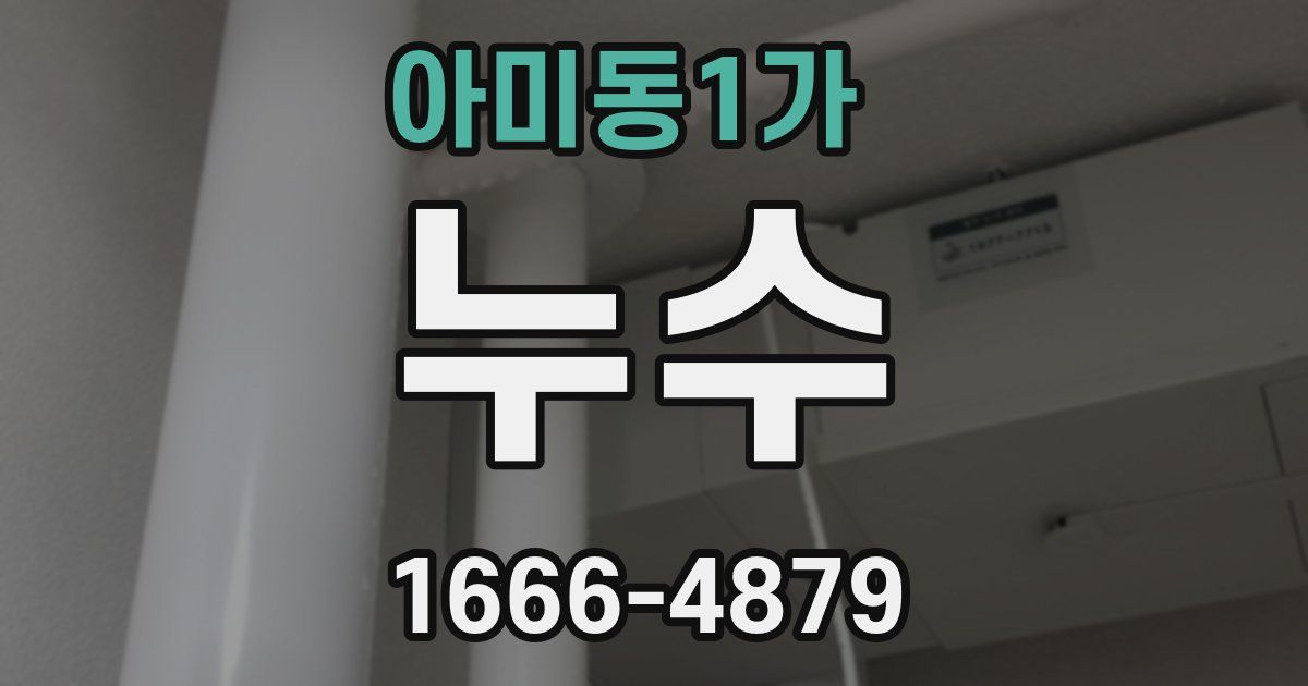 아미동1가 누수