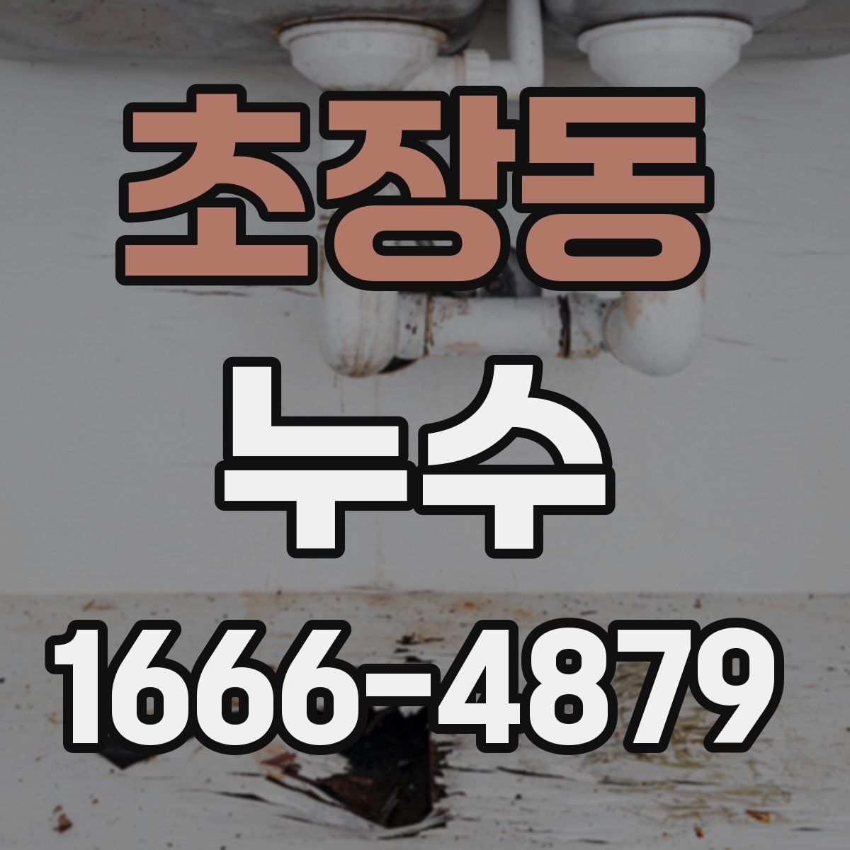 초장동 누수