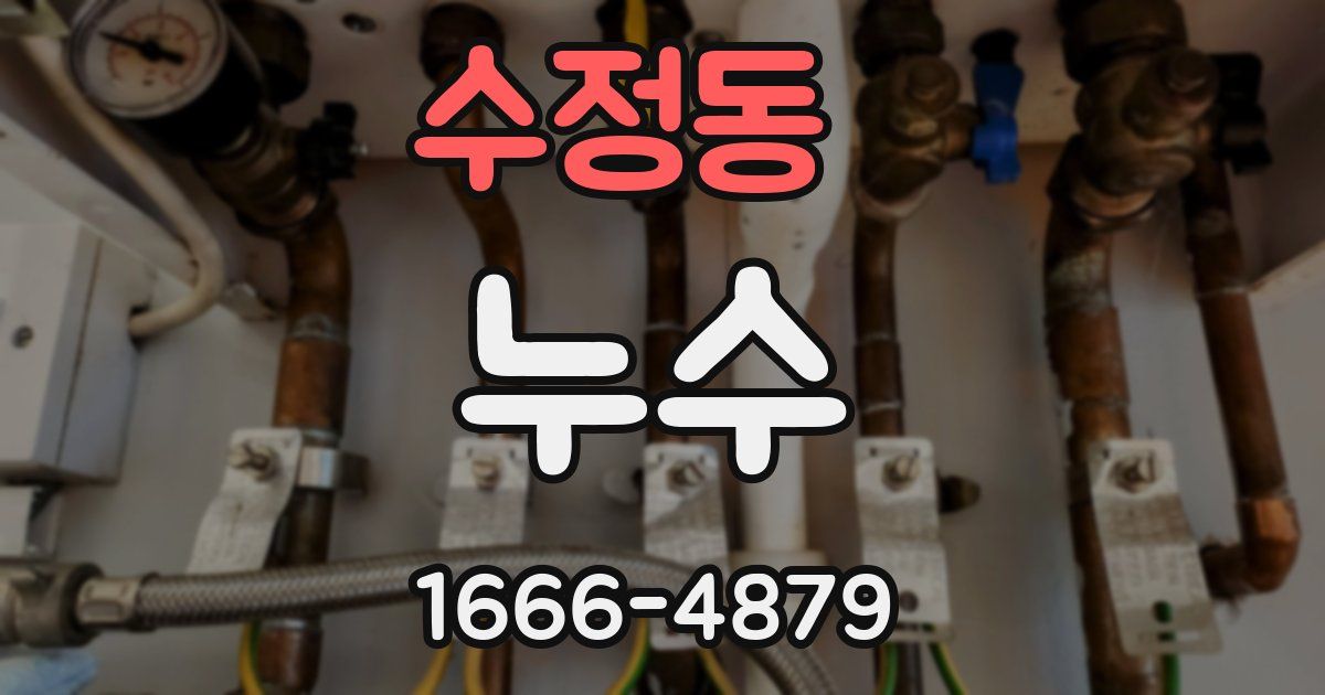 수정동 누수
