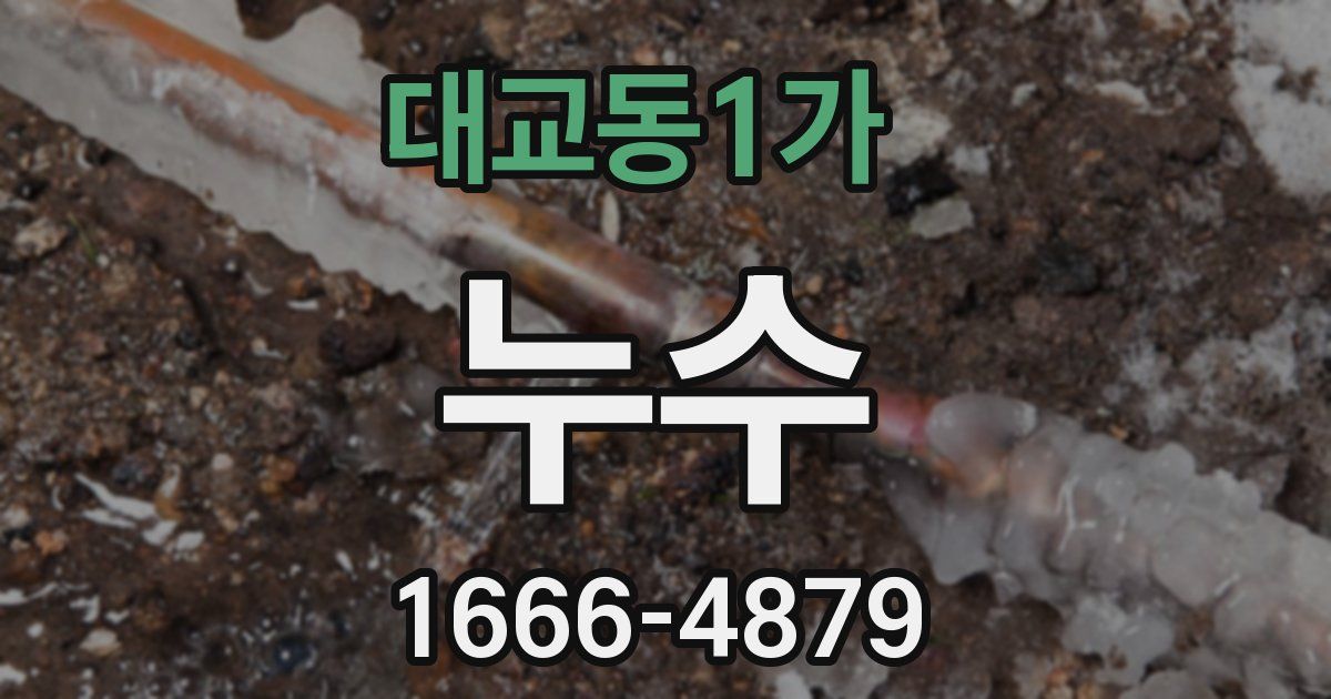 대교동1가 누수