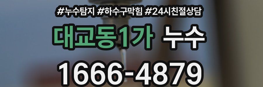 대교동1가 누수