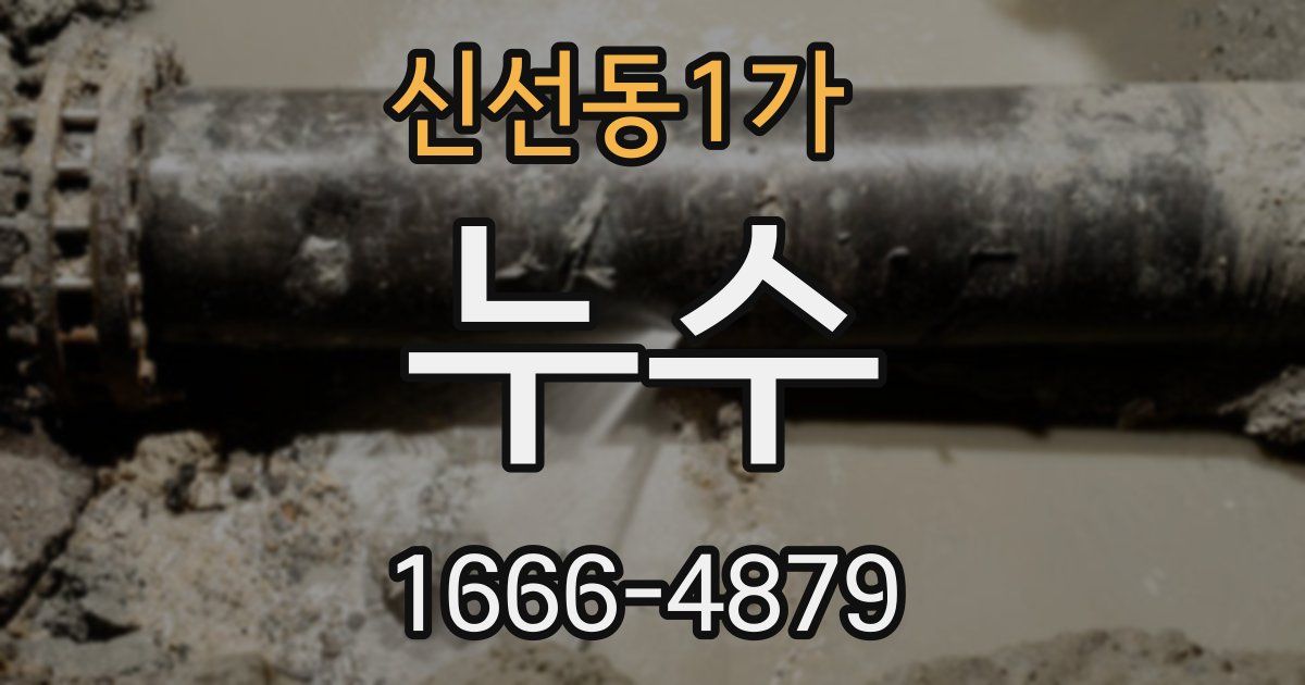 신선동1가 누수
