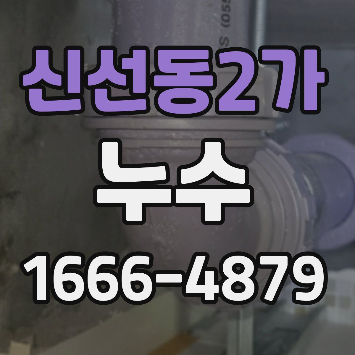 신선동2가 누수