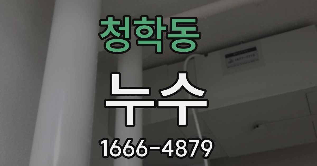 청학동 누수